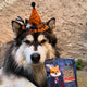 Les Gateries de Woof- Dracu Dog