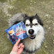 Les Gateries de Woof- Dracu Dog