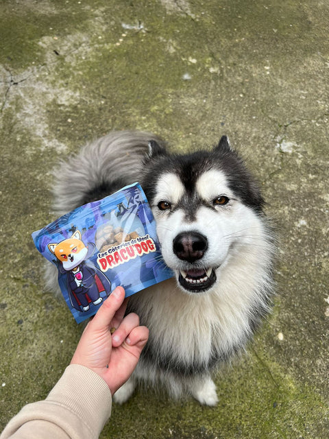 Les Gateries de Woof- Dracu Dog