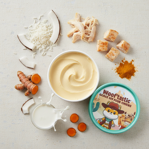 ClintEast’Dog – Glace DIY Poulet