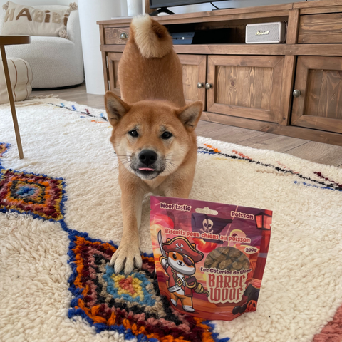 Barbe Woof - Biscuits Poisson