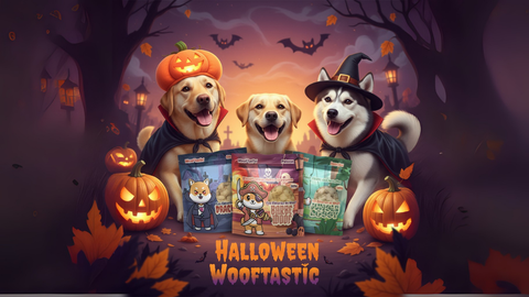 🎃 Halloween est arrivé ! Friandises monstrueusement bonnes pour ton chien 🐾