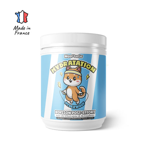 Hydra’Woof – La boisson post-effort pour chiens actifs