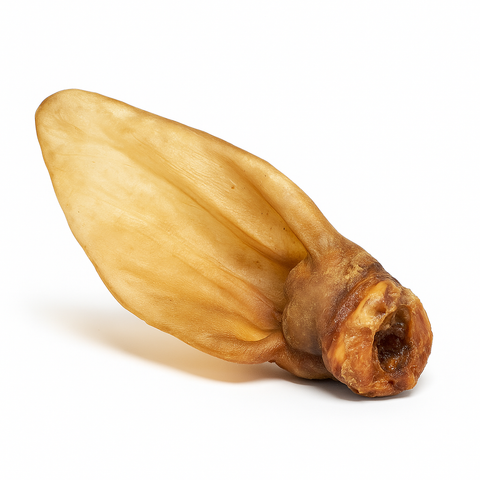 Oreille de bœuf