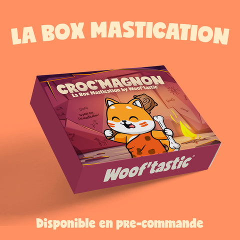 LA BOX MASTICATION