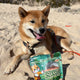 Jungle Doggy - Biscuits Insecte
