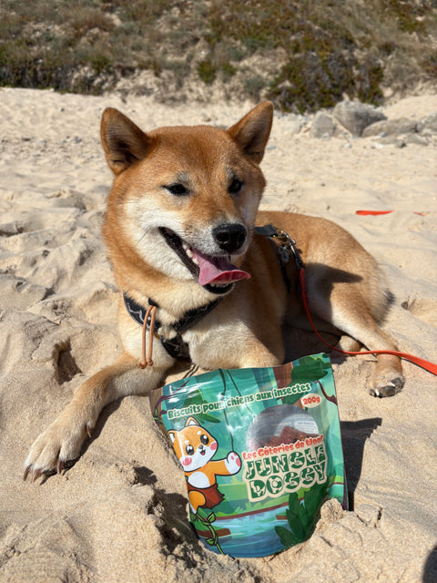 Jungle Doggy - Biscuits Insecte