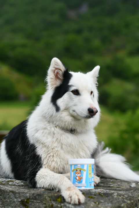 Hydra'woof
